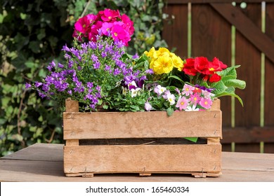 Various spring bloomers to plant