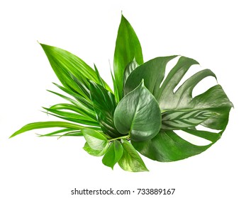 Various Tropical Leaves Isolated On White Background