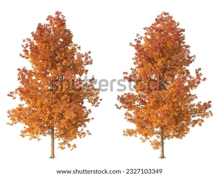 Various types of autumn tree branch plants bushes shrub and and small plants isolated	
