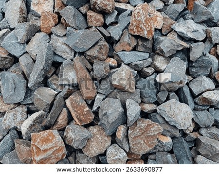 various types of coral rocks
