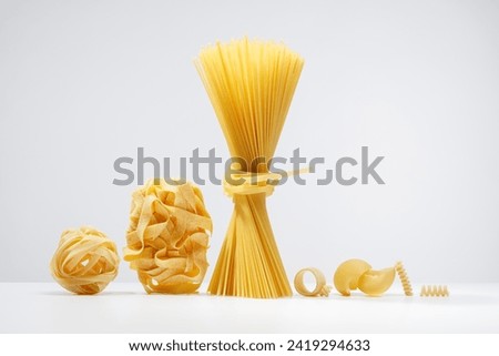 Various types of dry pasta on a white background. Bunch of Spaghetti twisted together, Italian egg pasta nest, Tagliatelle pasta roll, Fettuccine Anelli, Fusilli, Calamarata, Pipe Rigate or Lumaconi. 
