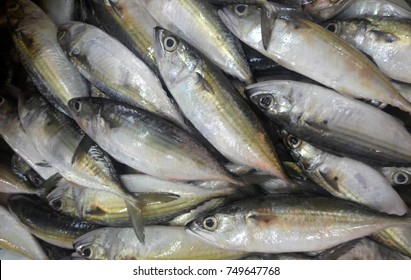 7,144 Fish display supermarket Images, Stock Photos & Vectors ...