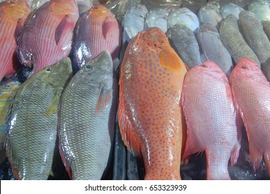 Various types of fresh coral reef fish on display at  local open eateries serving seafood dishes in Kota Kinabalu, Sabah, Malaysia. Seafood is one of the main atrratction for visitors of Sabah.