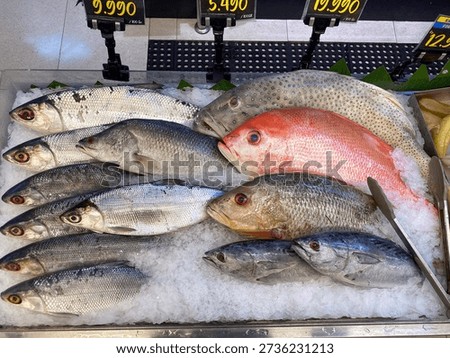 Various types of fresh fish such as milkfish Chanos chanos and red snapper Lutjanus campechanus arranged on ice in the supermarket seafood area.