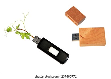 Various USB memory sticks - One with a black plastic surface and young leaves sprout and another one with a nature wood surface isolated on white background 