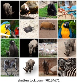 2,622 Plant and animal collage Images, Stock Photos & Vectors ...