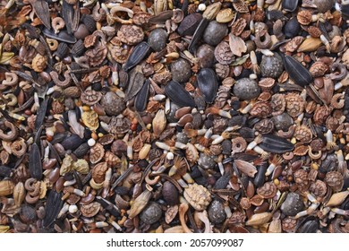 Various Wildflower Seeds Forming A Background