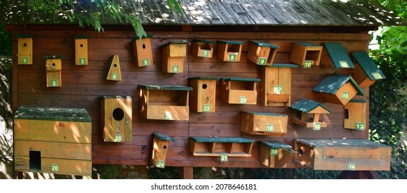 various wooden types of birdhouses, South Moravia,Czech Republic