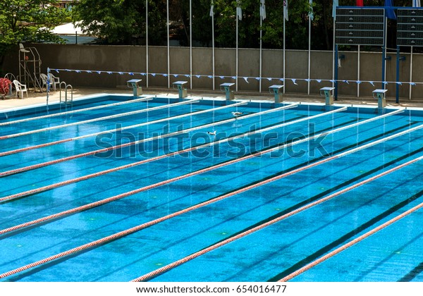 VARNA, BULGARIA -\
CIRCA 2017: Sports swimming pool with dividing paths for\
competition without swimmers. Cleaning the pool and preparing the\
Olympic sports pool for\
competitions