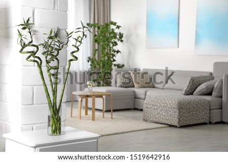 Vase with bamboo stems on cabinet in living room, space for text