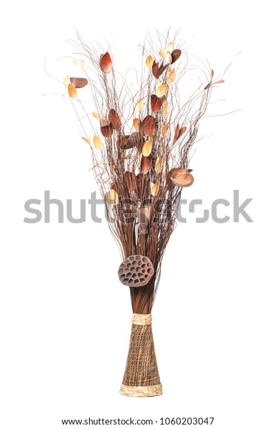 Vase Dry Branches Decorative Sticks Dried Stock Photo Edit Now