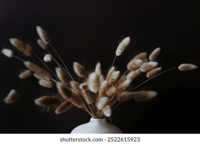 Vase with dry flower fluffy grass close up on dark background with sunlight shadow.Copy space, Aesthetic poster.  - Powered by Shutterstock