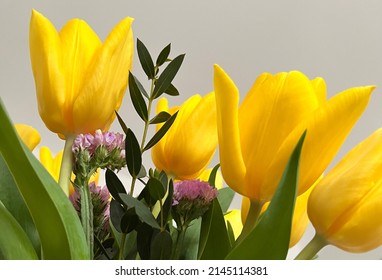 Vase with eucalyptus branches and yellow tulips on grey background, closeup. High quality photo - Shutterstock ID 2145114381