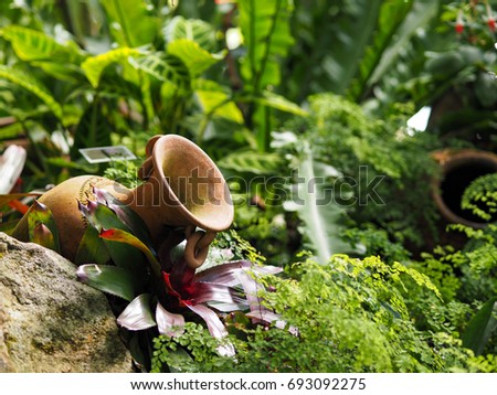 vase in garden