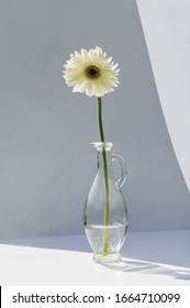 A Vase Holding A Single White Gerbera Flower.