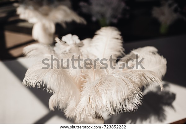 Vase Paper Ornaments Fluffy White Feathers Stock Photo Edit Now