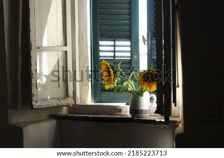 Vase with sunflowers standing on an old Tuscan windowsill near an open window