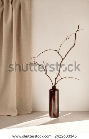 Similar – Image, Stock Photo Still life, vase with physalis