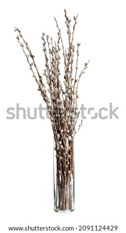 Vase with willow branch on white background