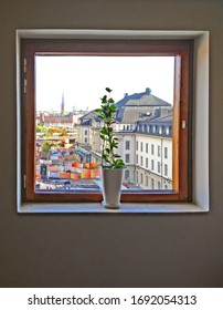 Vase and window. View through window on Railway station, Stockholm, Sweden