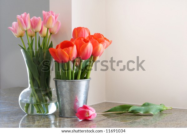 Vases Tulips On Kitchen Countertop Room Stock Photo Edit Now