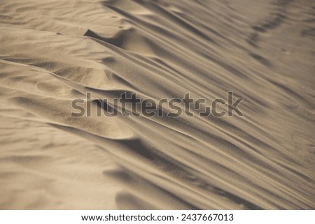 Vast, arid expanse with shifting sands and scorching temperatures prevailing.