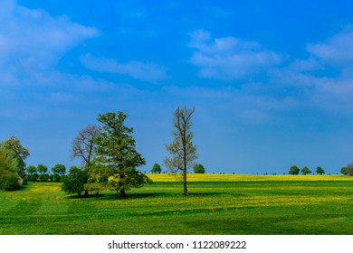 Vast Country: Parkland At Basedow In Mecklenburg Switzerland, Created By Peter Joseph Lenné