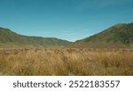 A vast, empty field with a clear blue sky above. The sky is dotted with a few clouds, but they are small and far apart. The field is mostly covered in tall grass