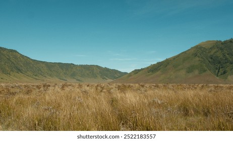 A vast, empty field with a clear blue sky above. The sky is dotted with a few clouds, but they are small and far apart. The field is mostly covered in tall grass - Powered by Shutterstock