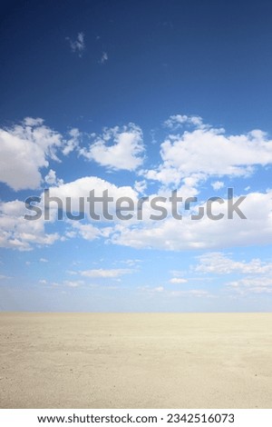 The vast Etosha National Park landscape, Namibia