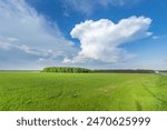 A vast expanse of green fields stretches out, with tall trees lining the horizon under a clear spring sky.
Описание ✒️
Генерация новых результатов или ключевых сл