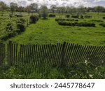 Vast expanse of plain and grass, Paris departmental park, local farm or agricultural fields, returned or treated land, local and ecological system, shared garden and community, beautiful shine grass