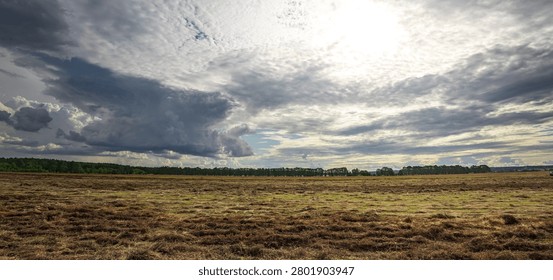 Vast field stretches under brooding, sunlit clouds. Darkening skies suggest impending rain or storm