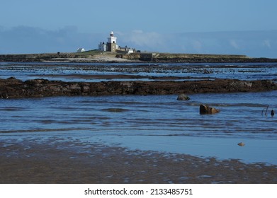 Vast Forest Of Kelp (also Known As Sea Tangle, Tangle Weed, Oar Weed, Sea Girdle, Horsetail Kelp Or Devils Apron) Exposed By Very Low Spring Tide. Lighthouse On Nearby Island In Background