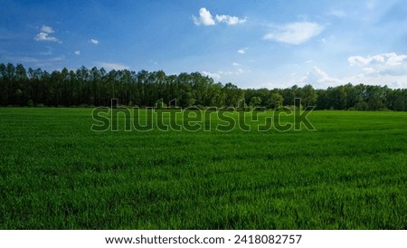 A vast green field under a blue sky with scattered clouds, bordered by a dense forest.