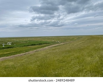 A vast green field under a cloudy sky with a distant herd of sheep grazing. Jutland, Denmark - Powered by Shutterstock