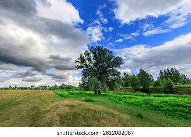 Vast green field under dramatic cloudy sky. Single large tree stands tall near horizon