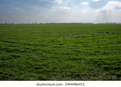 A vast green field under a partly cloudy sky. - Powered by Shutterstock