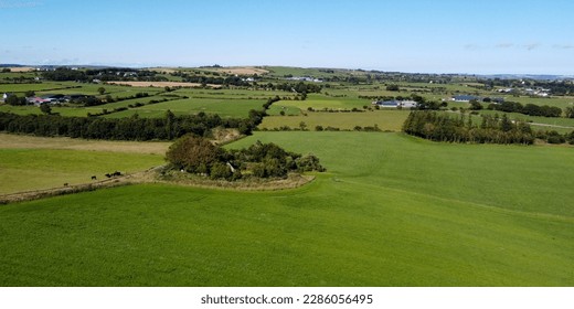 Vast green pastures for cattle in the south of Ireland. Picturesque farmland, top view. Agricultural landscape on a sunny summer day. Nature. Green grass field under blue sky