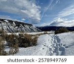 A vast incredible view of a snowy footpath with lush sagebrush and massive mountain ranges in the background, likely the Bunsen Peak, at Mammoth Hot Springs, Yellowstone. 