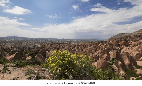 A vast landscape of unique rock formations in shades of red and brown. Yellow wildflowers bloom in the foreground. A clear blue sky with fluffy clouds completes the scene. - Powered by Shutterstock