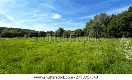 “A vast meadow opens beneath a bright blue sky, its lush green grass and scattered trees glowing softly in natural light across the serene landscape in Shipley, Yorkshire, UK.”