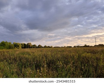 A vast open field with tall grass and wildflowers under a cloudy sky. Trees and houses dot the horizon, with power lines adding a touch of human presence to the tranquil scene. - Powered by Shutterstock