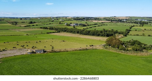 Vast pastures for cattle, Ireland. Picturesque farmland, top view. Agricultural landscape on a sunny summer day. Nature. Green grass field under blue sky