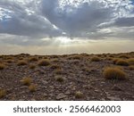 Vast rocky landscape with scattered dry vegetation illuminated by beautiful sunrays breaking through a cloudy sky