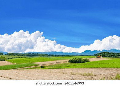 Vast rural landscape of Biei Town, Hokkaido (summer) - Powered by Shutterstock