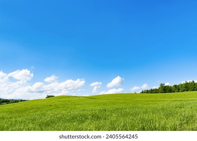 Vast rural landscape of Biei Town, Hokkaido (summer) - Powered by Shutterstock