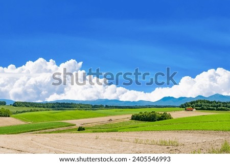 Vast rural landscape of Biei Town, Hokkaido (summer)