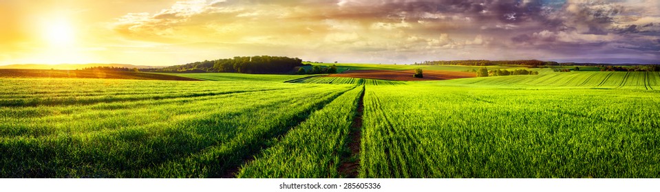 Vast rural landscape sunset panorama, with a field or meadow and tracks leading to the horizon and the colorful clouds