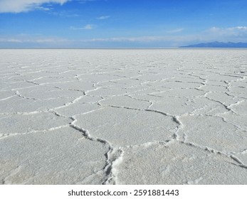 A vast salt flat with polygonal patterns stretching to the horizon under a bright blue sky, capturing the surreal beauty of Bolivia’s Salar de Uyuni